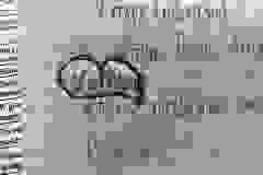 431447885_7552571988122534_2151051620520310942_n